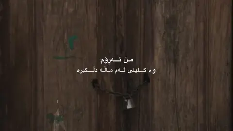 من ئەڕۆم🌚،#foryou #fyp #kurdistan #account #acc 