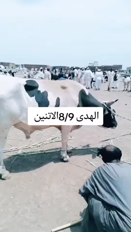 #السودان #السعودية#مصر#لايكات#اكسبلور #متابعة #عرب#الجزيره #جخو#الشغل #كوووووووواهله #القوات #المسلحه #🇸🇩🇸🇦🇪🇬🇸🇩 #🇸🇩🇸🇦🇪🇬🇸🇩 