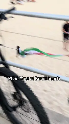 They said go back to eygpt #fyp #horsevibes #bondi #viral #boys 