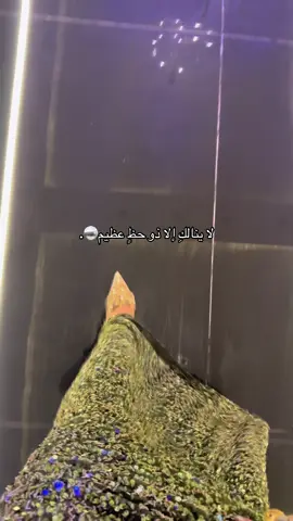#اكسبلورexplore #الشعب_الصيني_ماله_حل😂😂 #explore #اكسبلور #الخليج_العربي_اردن_عمان_مصر_تونس_المغرب 