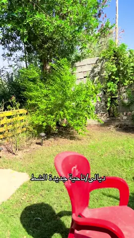 نهر دجلة محافظة ديالى ناحية جديدة الشط #العراق #ديالى #بغداد #الشعب_الصيني_ماله_حل😂😂 