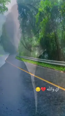 #CapCut #صعدوني_اكسبلورر #عادت_نشر🔁🥺 #نور 