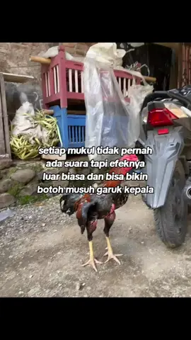 #salamsatuhobby 