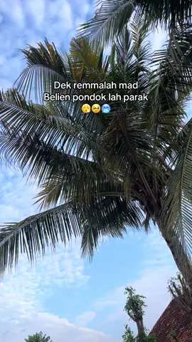 Mad tolong mad🙃#santri #senja #santripondok #lewatberanda 