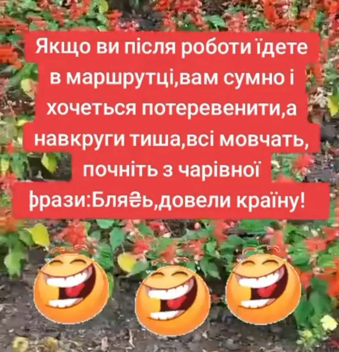 #гумор #українапонадусе💙💛🇺🇦🇺🇦🇺🇦 #всемдобра #р_е_к_о_м_е_н_д_а_ц_и_и #рек 