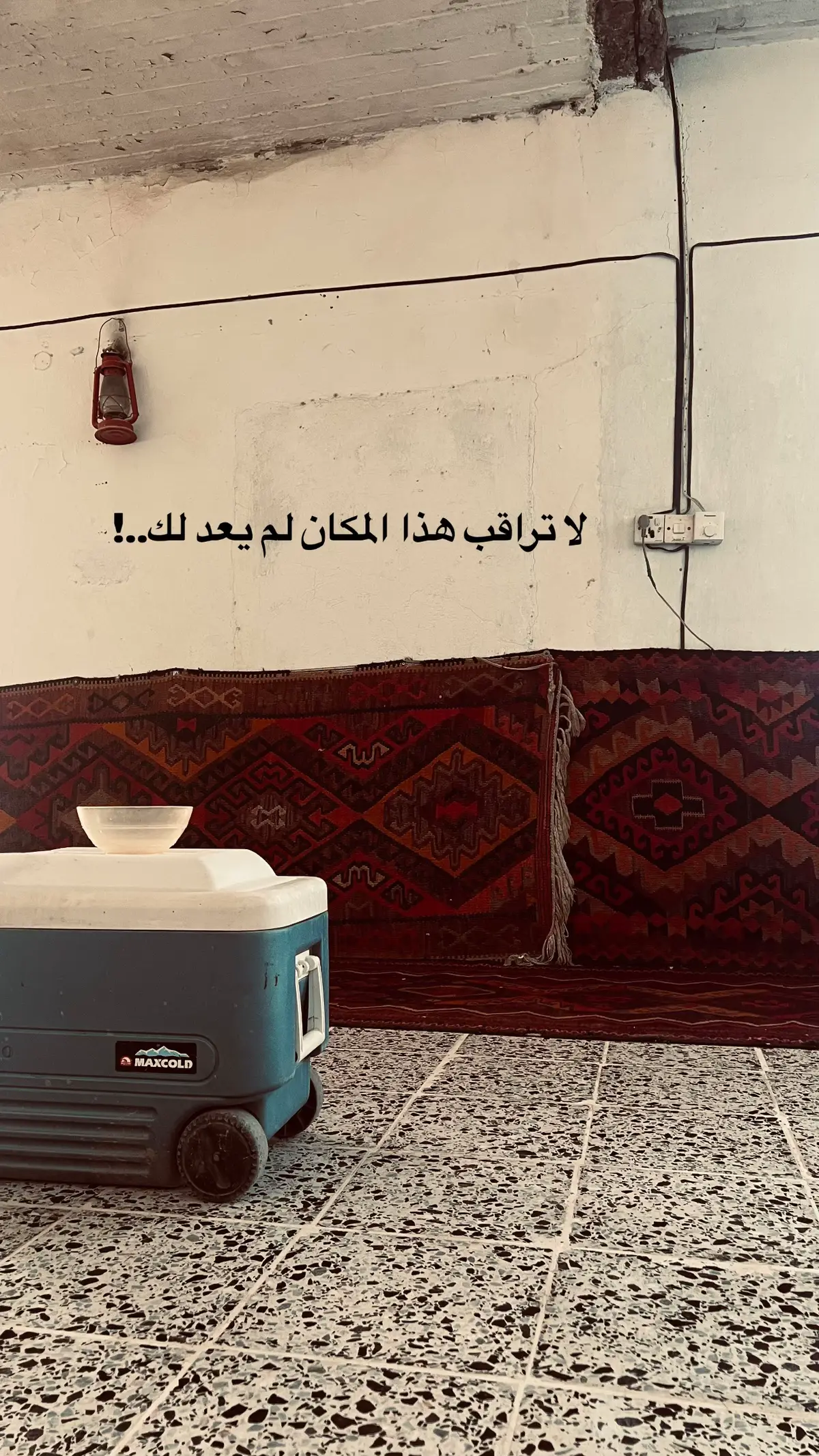 #لايك__explore___ #الضلوعيه_صلاح_الدين #مشاهير_تيك_توك #متابعه_ولايك_واكسبلور #متابعه @طارق . 