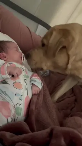 Best friends 🤣🤣🤣#dog #pet #baby #bestfriend #cute #funny #dogsoftiktok #foryou #usa🇺🇸 
