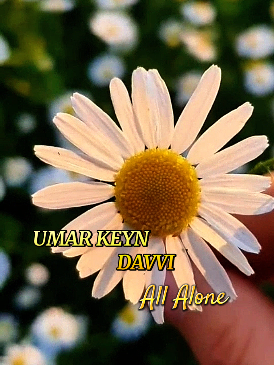 #Umarkeyn  #longervideos #fypシ゚ #CapCut #EraFlowers 