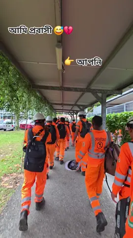 সাপোর্ট করবেন প্লিজ 🥰#মালয়েশিয়া_প্রবাসী_বাংলাদেশী🇧🇩🇲🇾 🥰🥰🥰