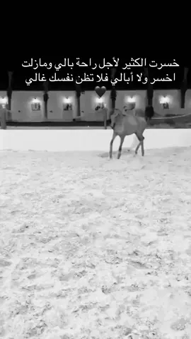 #خيل_وخياله🐎 #viral #fyp #اقتباسات #اكسبلورexplore 