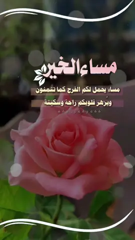 #مساء_الخير #مساء_الحب_والسعاده 