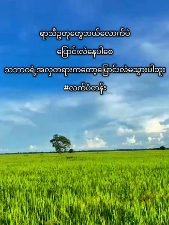 သဘာဝအလှတရား#လက်ပံတန်း #သဘာဝ#fyp  #creatorsearchinsights 