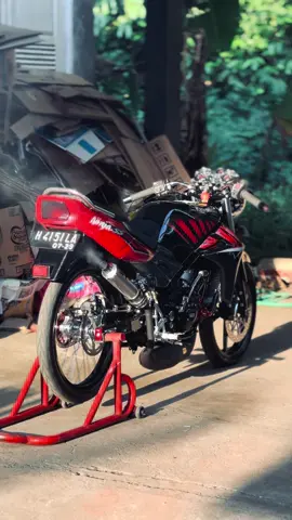 #ninjass #2stroke #agstyle 