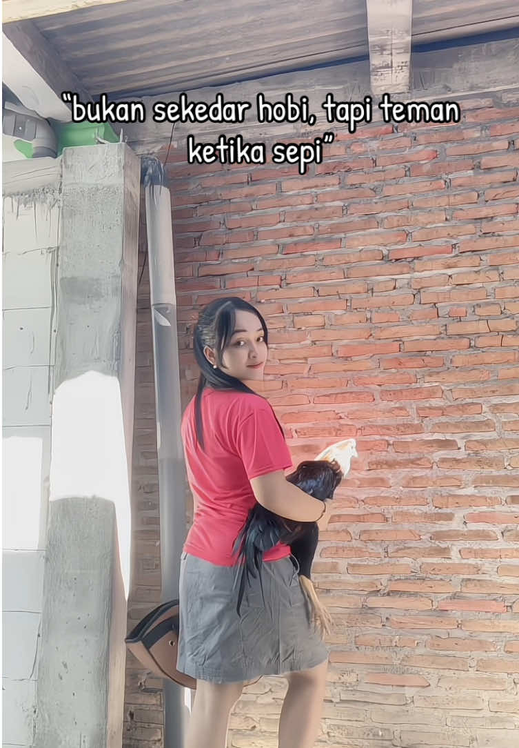 @yeti susanti23 👈Kiso ayam klik sini Masbre😎😎 #lewatberandafyp #kisoayam #ayambangkok 
