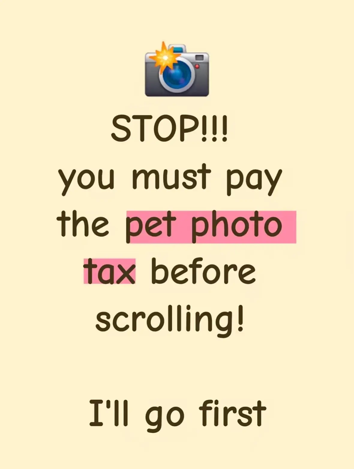 Gotta do what it says 👀  #doginfluencer #dogsoftiktok #fyp #PetsOfTikTok #petlover 