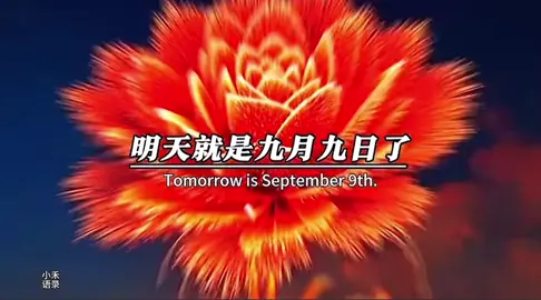 明天就是9月9日了，也是百年難遇的九九示愛日，一定要對你最愛的人說一句：我愛你。因為202599的寓意是：愛是久久，我會愛你一生一世，愛你久久，並且被艾特的人在這一天都會九運當頭，健康久久、平安久久、幸福久久、快樂久久、愛情久久、事業久久、好運連連到永久、長長久久、福氣滿滿伴左右，快艾特你最愛最在乎的人吧！#情感共鳴 #艾特你想艾特的人 #分享 #熱門 