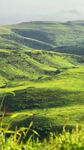 سطح المكتب💚💚☘️ #هنا_ظفار #explorepage 
