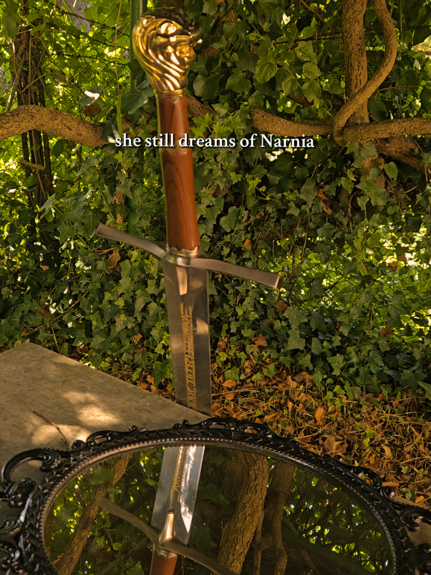 #narnia #thechroniclesofnarnia #chroniclesofnarnia #narniatok #princecaspian 