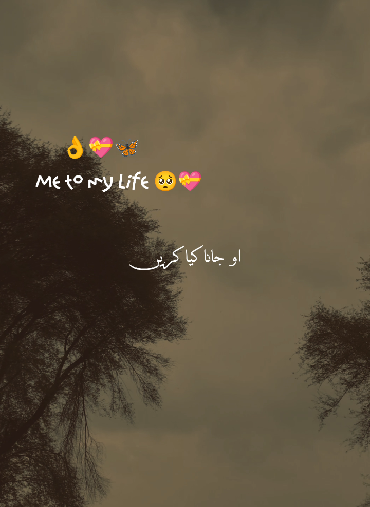 وہ جانا کیا کریں 🥺🌸🦋❤️‍🩹 #poetrystatus #aestheticvideos #myaccountunfreze🙏🥺 #poetrystatus #poetry 