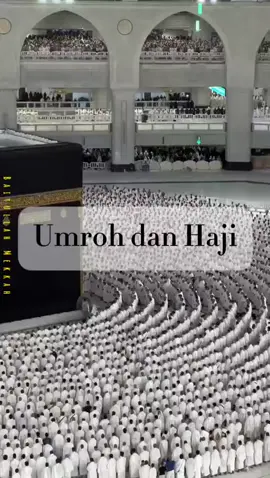 Bismillah.. *Mari wujudkan impian beribadah ke tanah suci bersama kami* Paket umroh dan haji resmi, aman dan nyaman ✅ Bimbingan ibadah sesuai sunnah ✅ Travel resmi dan terpercaya ✅fasilitas lengkap Info pendaftaran  Bank : BSI 📞 085287713587 (Dwi Umar) #ustdwiumar  #makkahmadinah🕋  #fyp 