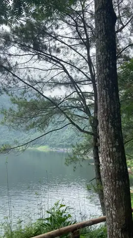 🌲🔋 #telagamenjer #wonosobo #fyp #xybca 