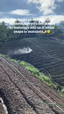 🤌😇#masukberanda ##trendingtiktok #xbcyza #ikuttrend #foryoupage #enrekangduri #enrekangtiktok #trending #cintadamaibiak #passimpolessuna#kebunbawangenrekang #petaniindonesia🇮🇩🇮🇩🇮🇩🌿🌿 #petanimuda #bawangmerahenrekang 