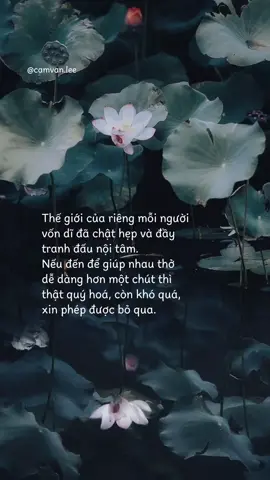 #fyp #camvanlee 