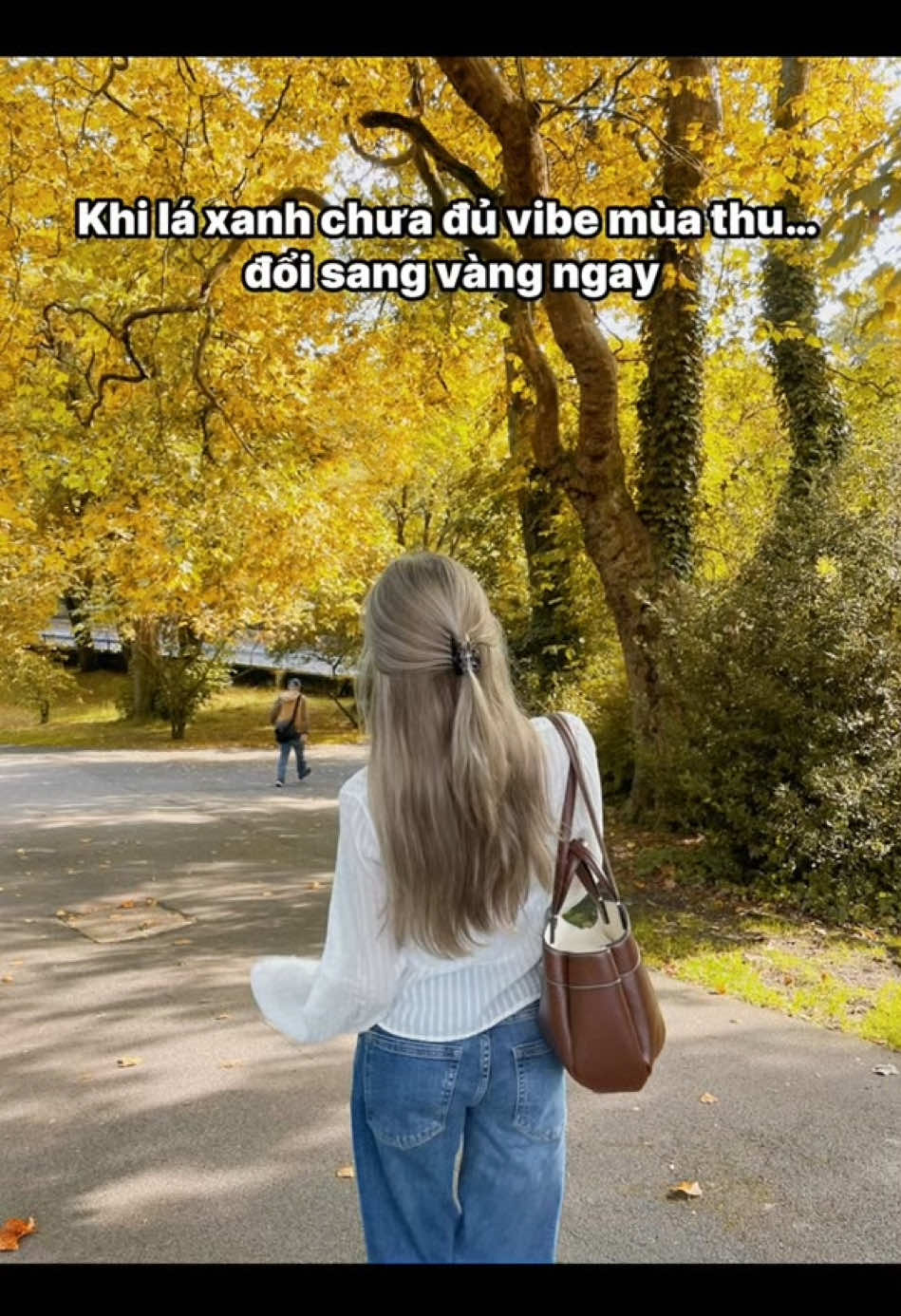 Khi lá xanh chưa đủ vibe mùa thu… đổi sang vàng ngay 🍂@hypic_global #photoediting #autumnvibes #Sparkling888 #hypic #hypiccreator 