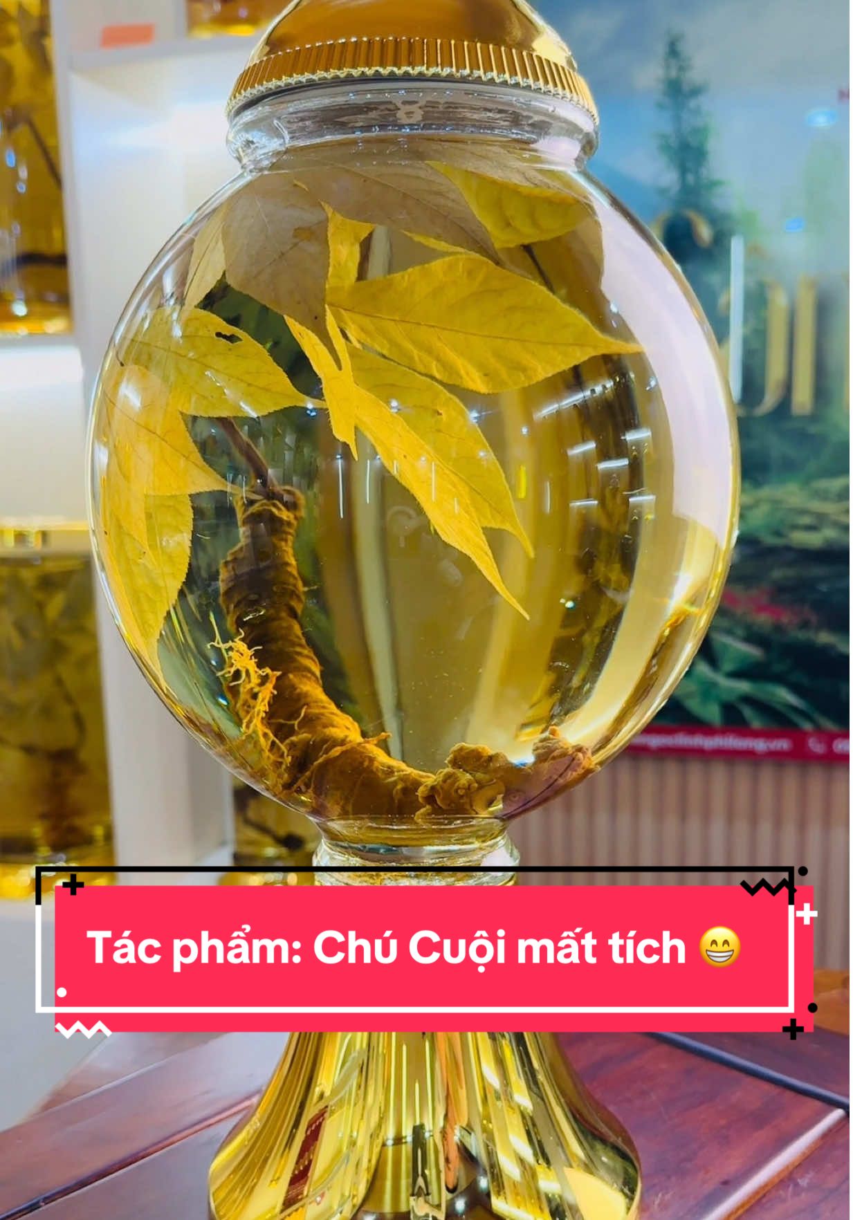 Kiểu như sinh ra là của nhau luôn rồi 😍  @Sâm Ngọc Linh Phi Long   #samngoclinh #sâm_ngọc_linh #nghethuat #dangcap #viraltiktok 