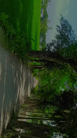 #মায়াবতী ....!! পিছলা কথায় মন ভূইলা গেছে কও#tiktok #foryou #vairalvideo #highlight 
