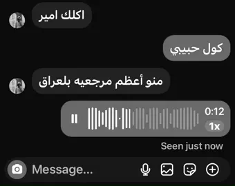سيد السيستاني يانعم الولي☝🏻🤍.#سيد_علي_السيستاني #f #fyp #foryou #امير_ال_كناني 