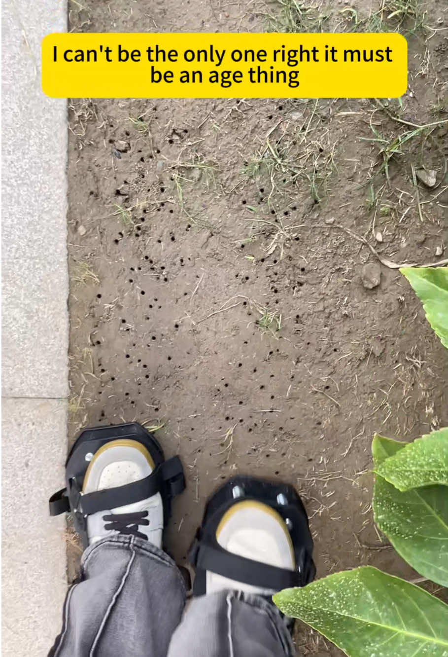 Get your aeration on and start the stepstoward a better looking lawn#lawn #lawncare #aerationshoes #lawnaerator #rifpod 