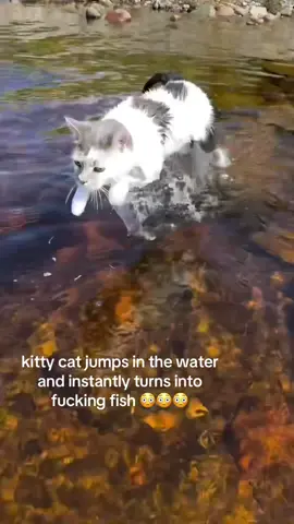 what a cute bunny rabbit that is. #spirituality #kitty 