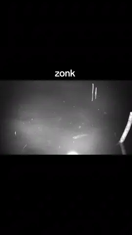 zonk  #paser #nightvision #fishing #paserikan #pasermania 