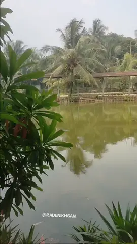 kalian suka mancing guys??? #fyppppppppppppppppppp  #bogor#jawa#barat#trend menikmati perjalanan siang 