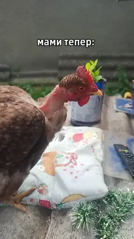 це точно 🤦🤣
