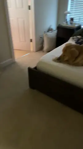 The way he came sliding in 😂 (ig: Tylerforster03)