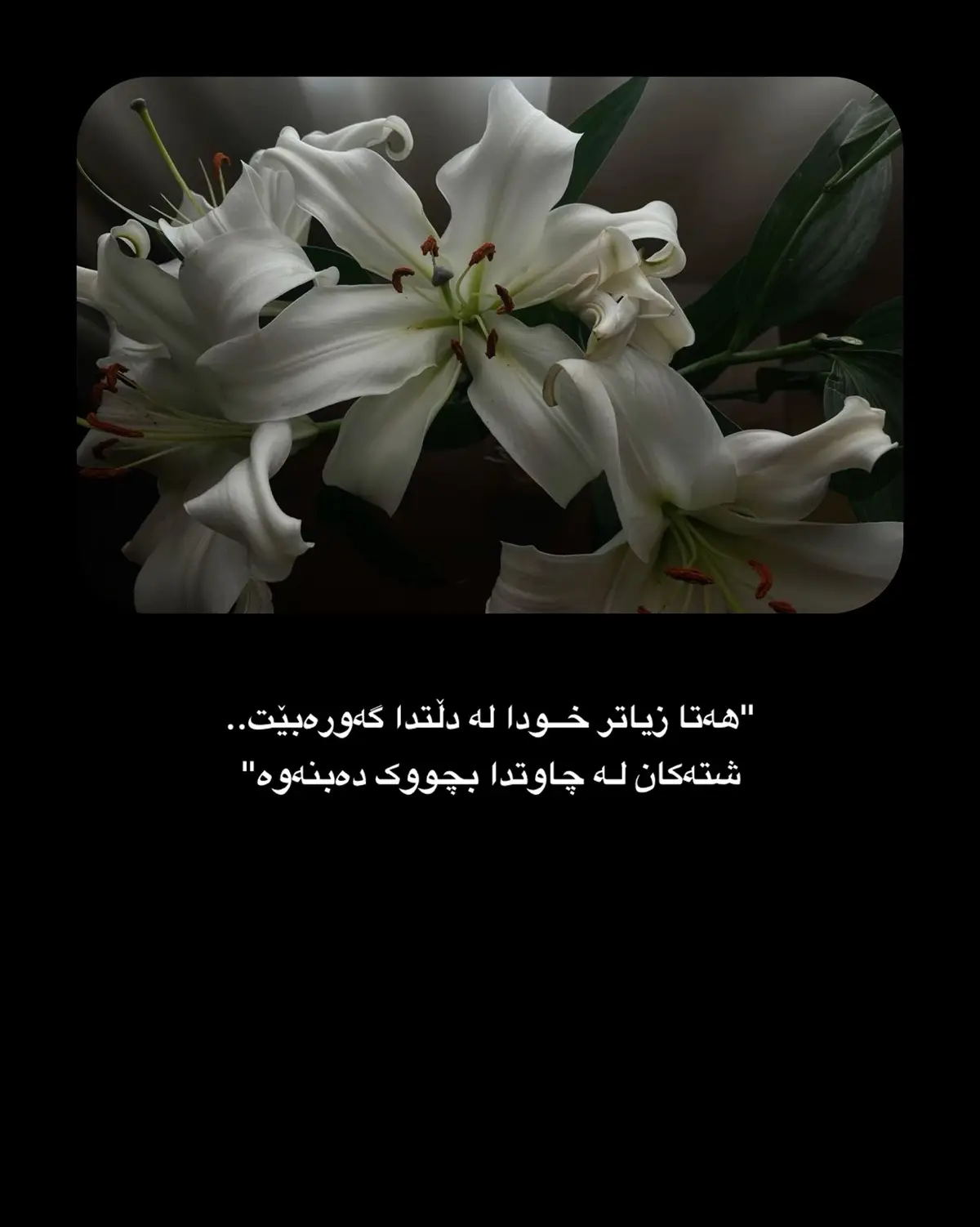 #foryou #fyppppppppppppppppppppppp #fypシ゚ #viralシ 