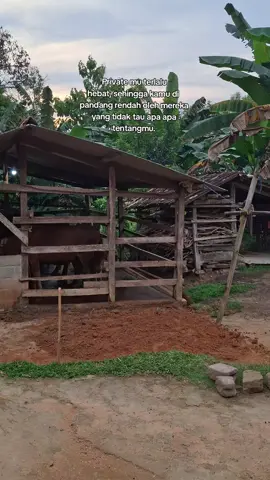 Saya tidak peduli orang mau bilang apa #Masyudfarm #lampungtimur #peternaksapiindonesia #peternakmuda #fouryoupage 