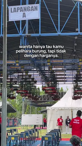 🤫#muraibatuindonesia #kicaumaniaindonesia #muraibatu #fyp #ngawi24jam 