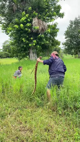 งูเยอะแถวนี้ #คลิปตลกฮาๆ #viraltiktok #funny #คลายเครียด 