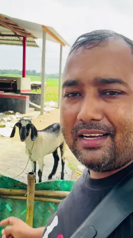 বুঝলি নারে মানুষ #tiktok #viral #fyp 