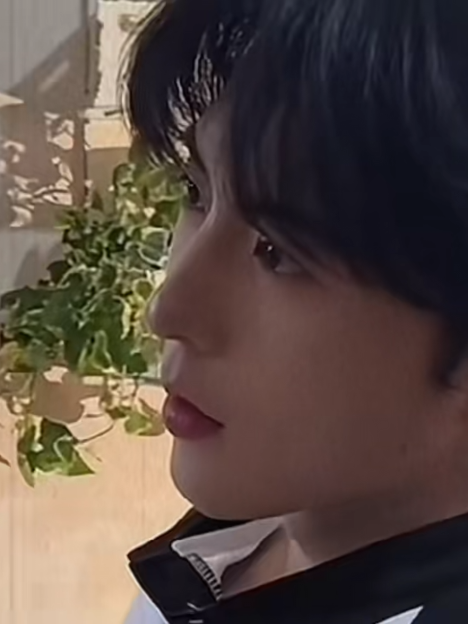 a story that you think fits this video🤣#huangxing #qiudingjie 