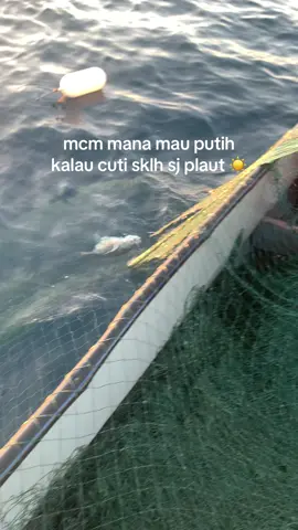 pukulan angin barat 🤭 #fyppp #nelayanlautdalam #pukathanyut 