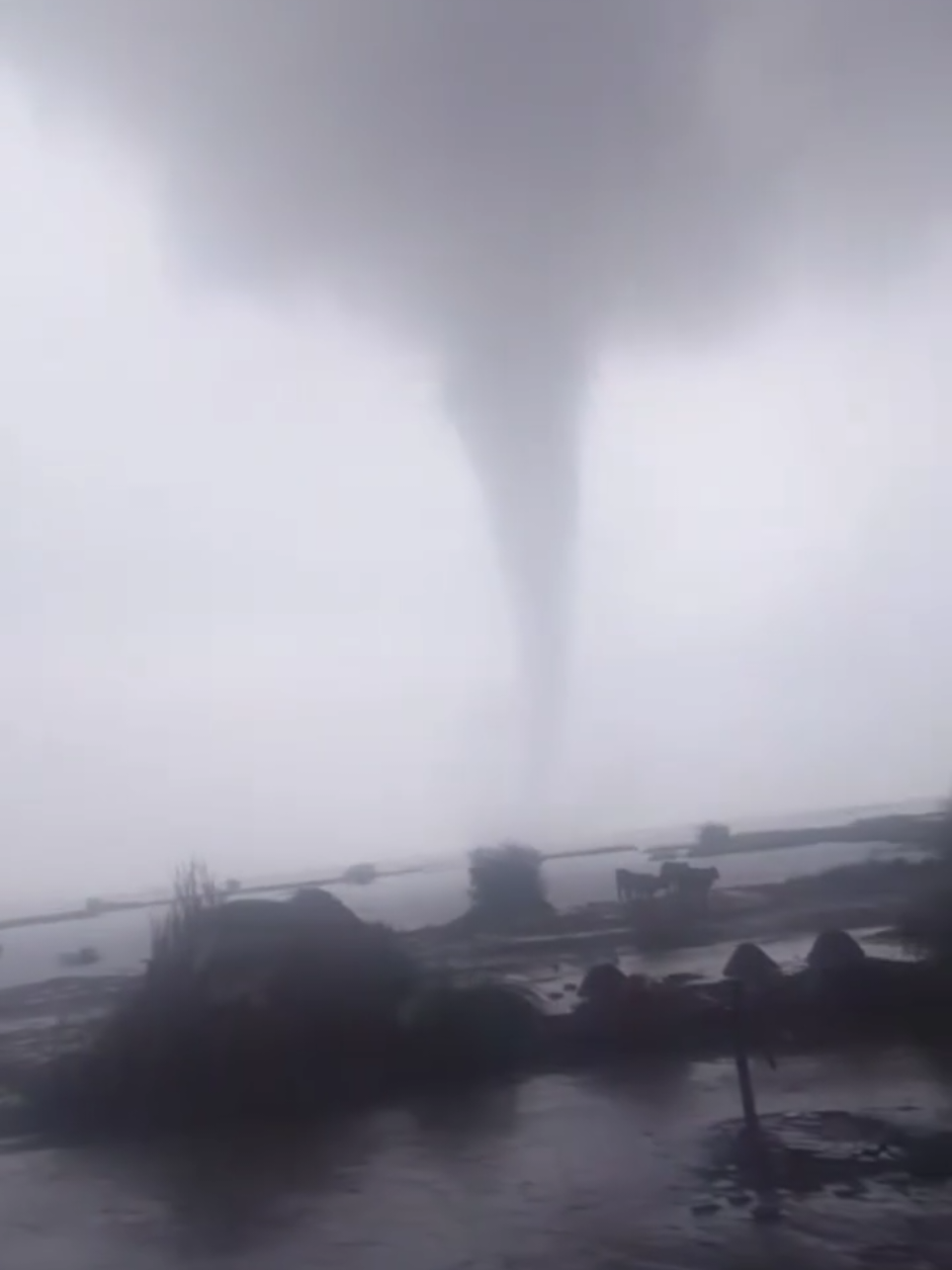 Tornado in Faisal abad #pakistan #punjab #tandliawala #lahore #climatechange 
