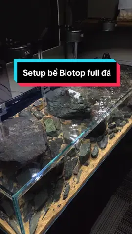 Setup bể cá suối biotop full đá #setup #thuysinh #aquarium #biotop #ngocaquadesign 