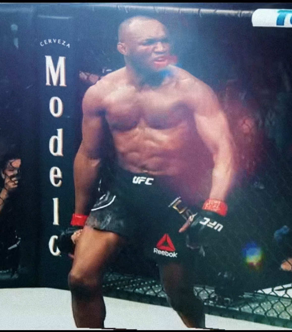 We miss you Marty 🥹🇳🇬💆🏼 #kamaruusman #colbycovington #UFC #mma #ufcedit 