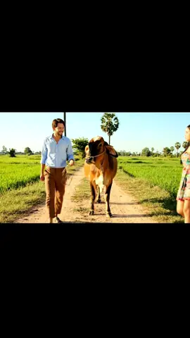 ជាងទូរស័ព្ទដាច់បាយ😁😁