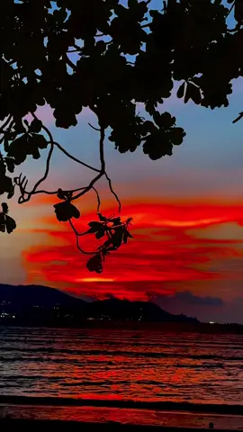 Sunset today 08-09-25♥️♥️♥️ #sunset🌄view😍🔥⚡️  #sunset🌄beach🌴💦🌴  #sunset🌄lover♥️🦋♥️  #healing_through_nature🔥🦋🦋🖤  #fypシ゚viral🖤tiktok☆♡🦋myvideo♥️♥️♥️ 