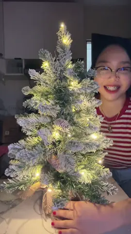Wala ng space para sa malaking Christmas Tree pero ramdam pa rin ang pasko kasi ang ganda naman nitong mini size 🥰 #bermonths #paskongpinoy #budolfinds 